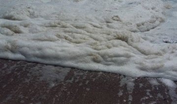 Вода одеських пляжів загрожує здоров'ю відпочивальників 