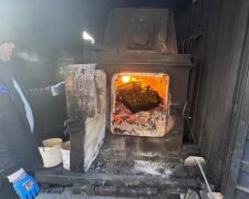 Знищення зараженої зелені: фото Держпродспоживслужба