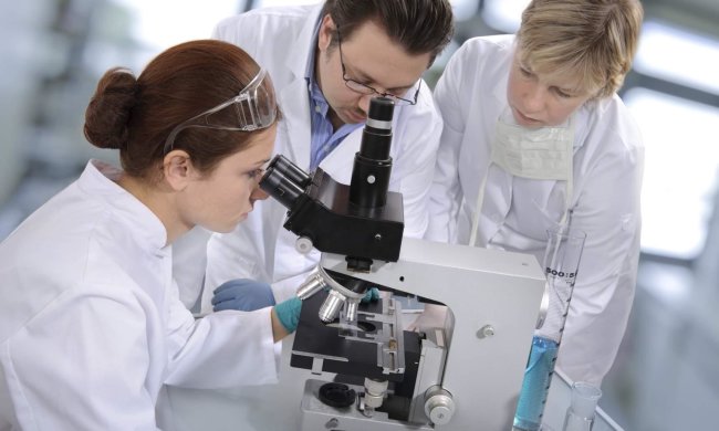 Вчені показали, як зароджується і "працює" аутизм: сенсаційні дослідження