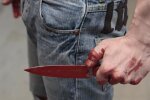 На Київщині по-звірячому вбили сім'ю пенсіонерів за шланг і 200 грн. (відео)