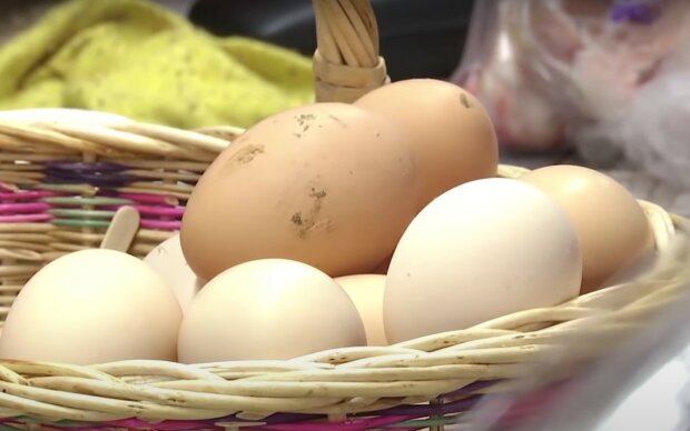 Яйца. Фото: скрин youtube