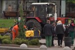 Кличко знищив київські каштани і спустив 800 тисяч на кущі