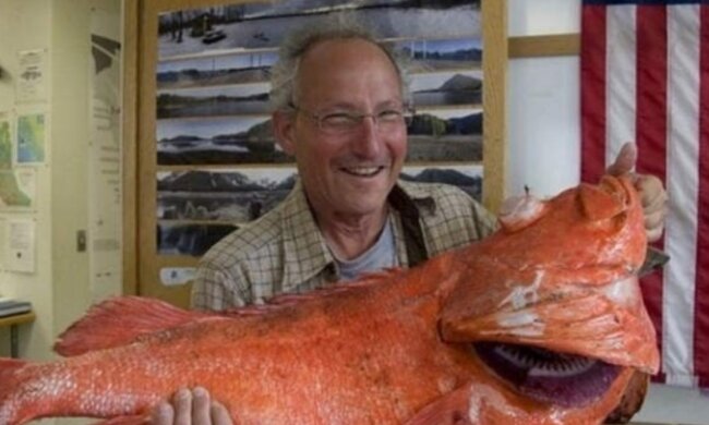 Самый старый морской окунь, фото: AP