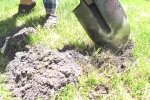 Кроти на ділянці, кадр з відео