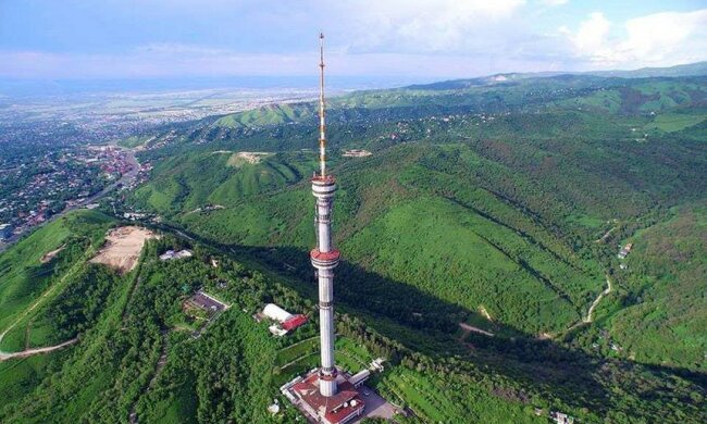 Телевежа, фото: вільне джерело