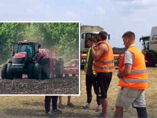 Ціни на зерно в Україні на тлі світової аграрної кризи