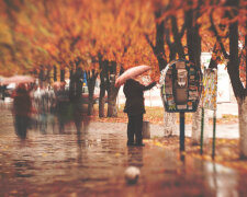 Харків'яни, бережіть голови: 3 листопада стихія розгуляється не на жарт, краще залишитися вдома