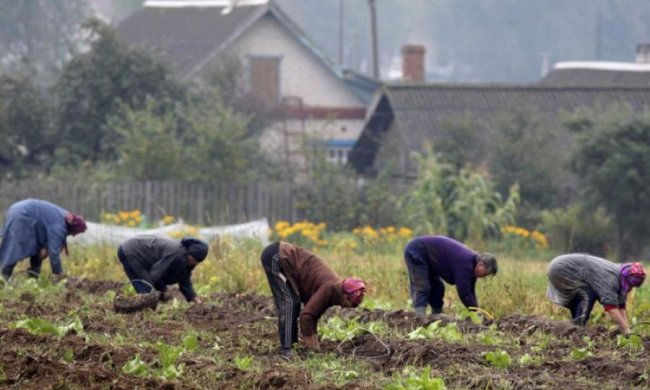 Сгорбленные и потные: НБУ увековечил в деньгах весенние страдания украинцев 