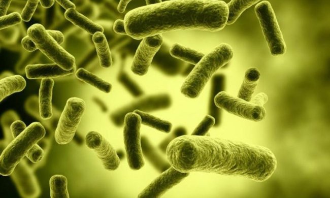 NASA відправила космонавтам небезпечний подарунок