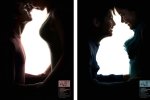 Фотограф в оригінальний спосіб закликав прихистити тварин