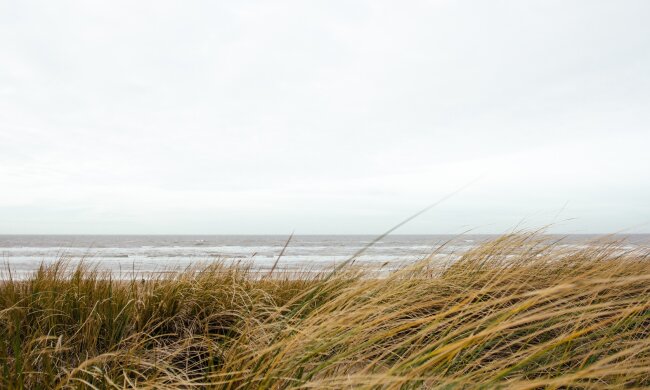 погода в Украине, фото pxhere