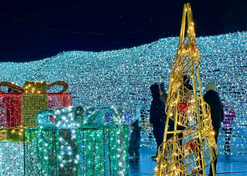 Українці, Київ, фото із соцмереж