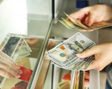 Курс валют на 24 серпня: долар доведе українців до істерики