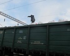 Одесит намагався перетнути кордон на даху поїзда