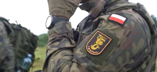 Польские военные, фото: скриншот из видео