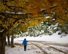 Погода на 7 жовтня: Україна порине в справжню зиму