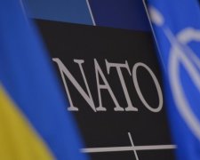 НАТО выделит на нужды украинской армии 5,4 млн евро