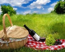 В Киеве пройдет Чемпионат по пикникам