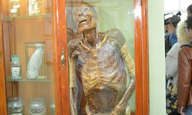 Анатомический музей с мумиями людей открыли в Ивано-Франковске (фото)