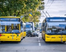 Жителі Голосіївки залишилися без тролейбусів: як дістатися до роботи