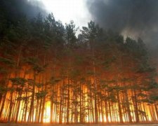 341 пожар произошел в Украине за минувшие сутки