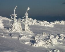 Украинцам показали величие заснеженных Карпат, дыхание перехватывает: "Неужели это реальность?"