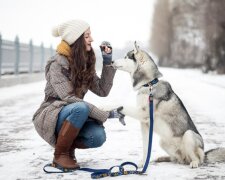 Прогулки с собакой. Фото Freepik