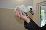 Під Франківськом стихія позбавила малюка рідного дому, але світ не без добрих людей