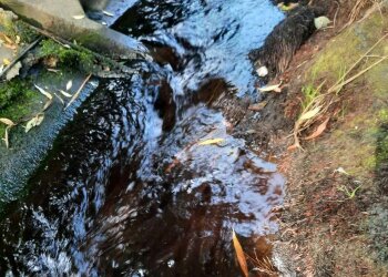 Загрязненное озеро, фото facebook Державна екологічна інспекція України