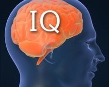 Людям із високим IQ не потрібні друзі