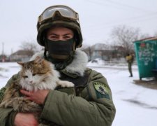 Фронтові улюбленці: як живе котячий підрозділ ЗСУ