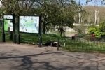 Інтимне побачення під Букінгемським палацом, фото: The Sun