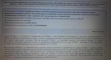 Рішення суду, скріншот: Вінницький апеляційний суд