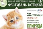 Завтра в Києві пройде благодійний "Фестиваль котиків"