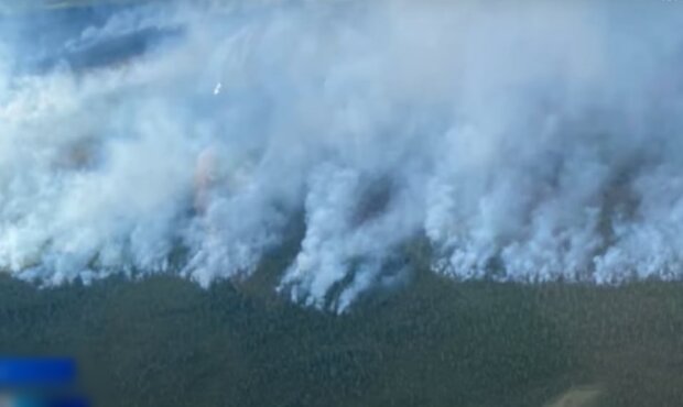 Пожары в лесах россии, скриншот из видео