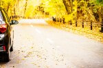 Автомобіль в осінній сезон. Фото Freepik