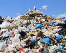 Украинцы, доставайте кошельки! Платите за свет и за газ, заплатите и за мусор