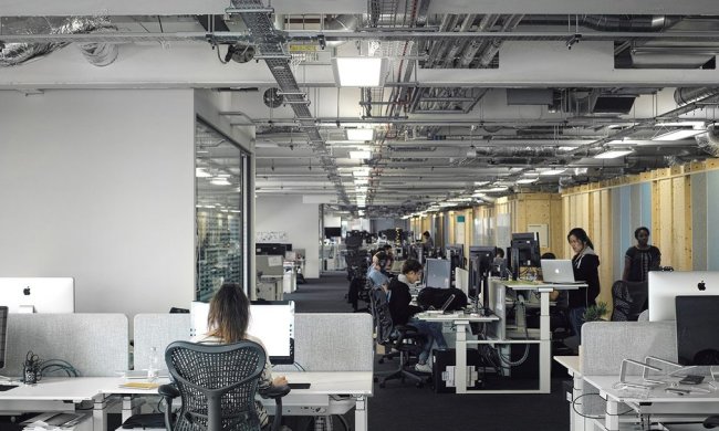 Тільки не Google: пошуковик збере всі ваші хвороби