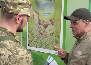 Мобилизация в Украине. Фото: скрин youtube