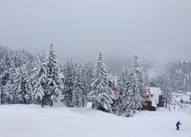 Драгобрат засипало снігом, фото: Instagram ot_pervogo_lica