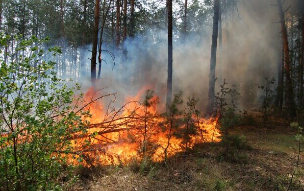 Над Днепром нависла смертельная опасность: забудьте о спичках, что нужно знать