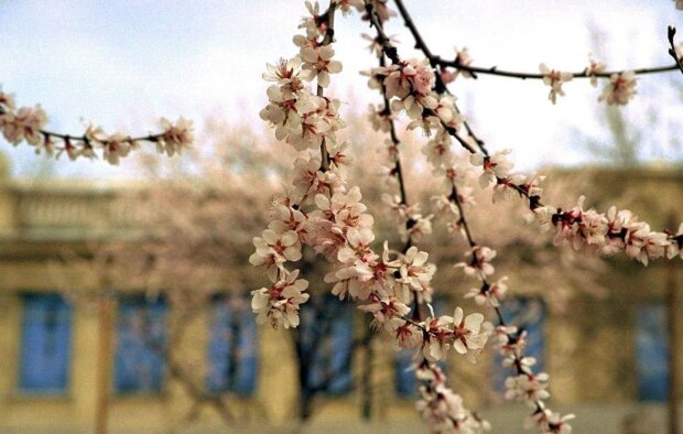 Весна, фото: Unian
