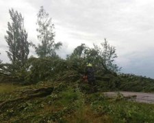 Ровненщиной пронесся мощный ураган: заблокировано километры дорог