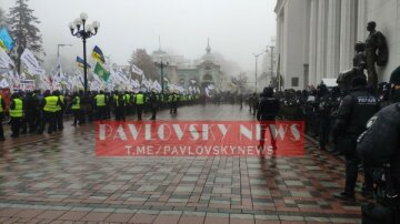 Фото: Павловский