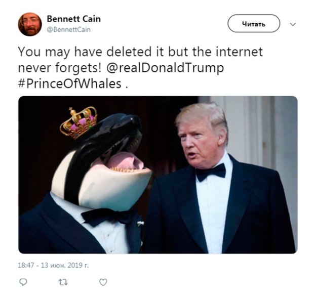 Трампа и «принца китов» высмеяли новым мемом