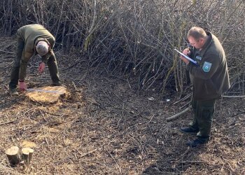 Госэкоинспекция