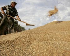 Вопреки агрессии на Востоке: сколько украинских товаров продают россиянам