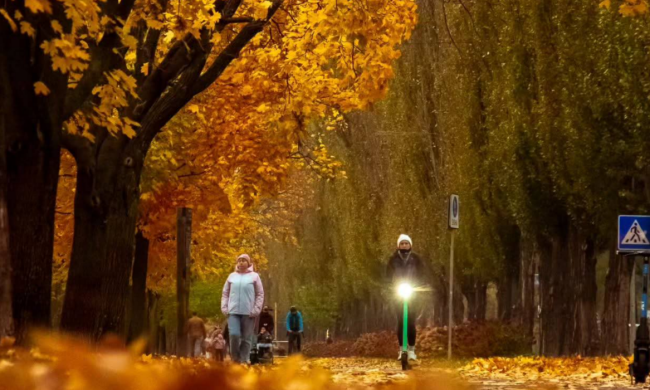 Украинцы, осень, фото из соцсетей