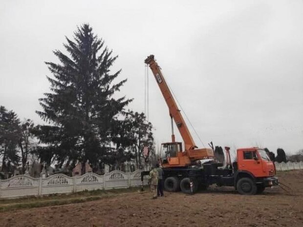 В центре города установили новогоднюю елку, украинцы в шоке: "Она же с кладбища!"