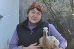 Марія з лелекою Юрком / фото : Суспільне